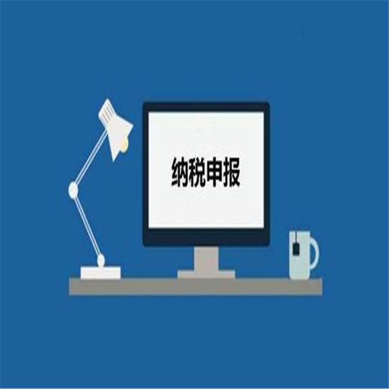 纳税申报